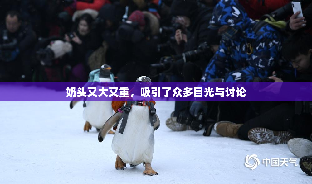奶头又大又重，吸引了众多目光与讨论