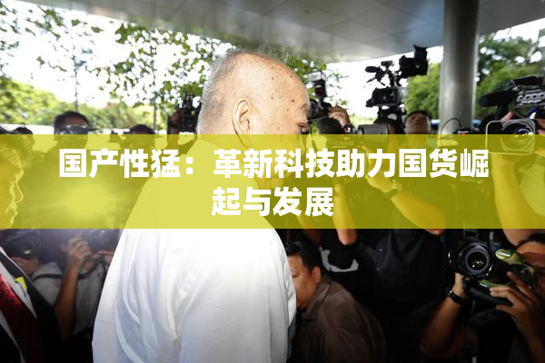 国产性猛：革新科技助力国货崛起与发展