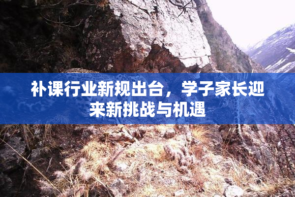 补课行业新规出台，学子家长迎来新挑战与机遇