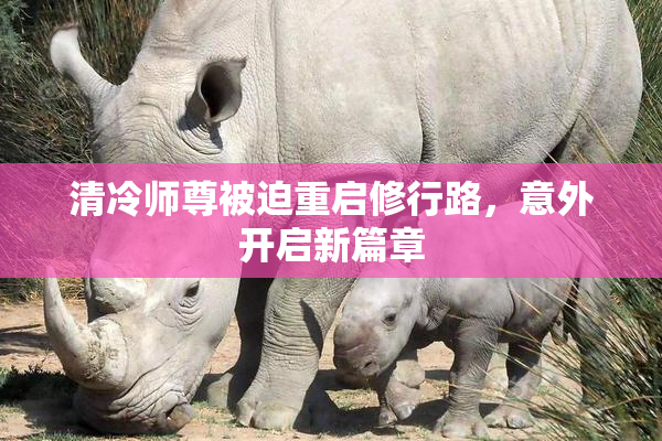 清冷师尊被迫重启修行路，意外开启新篇章