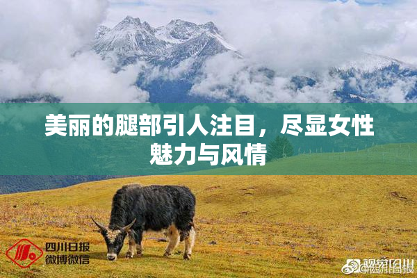 美丽的腿部引人注目，尽显女性魅力与风情
