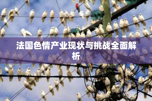 法国色情产业现状与挑战全面解析
