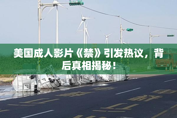 美国成人影片《禁》引发热议，背后真相揭秘！