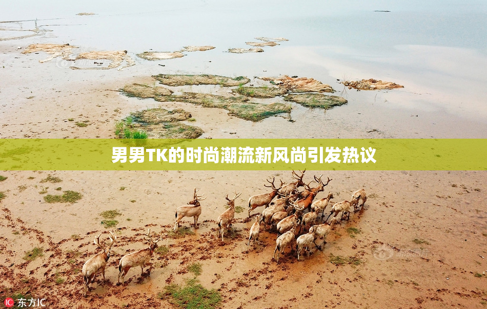 男男TK的时尚潮流新风尚引发热议