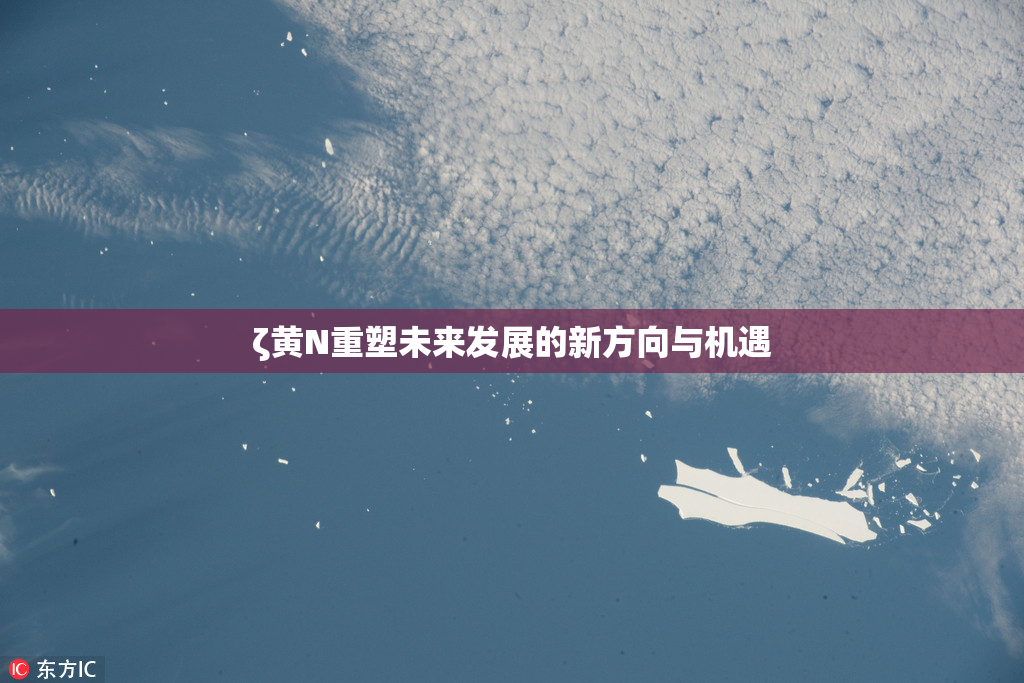 ζ黄Ν重塑未来发展的新方向与机遇