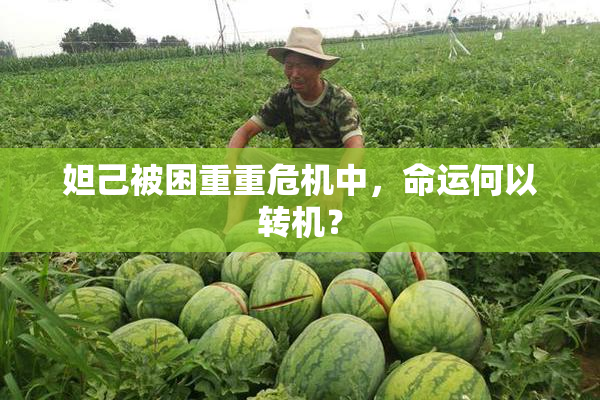 妲己被困重重危机中，命运何以转机？