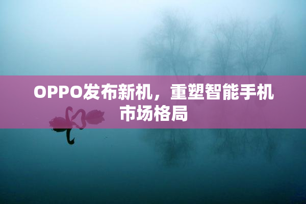 OPPO发布新机，重塑智能手机市场格局