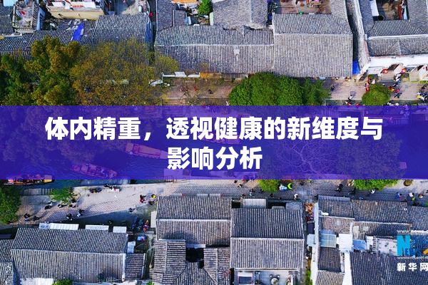 体内精重，透视健康的新维度与影响分析