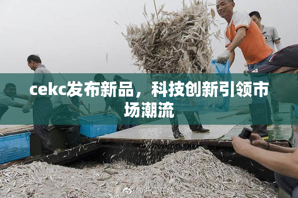 cekc发布新品，科技创新引领市场潮流