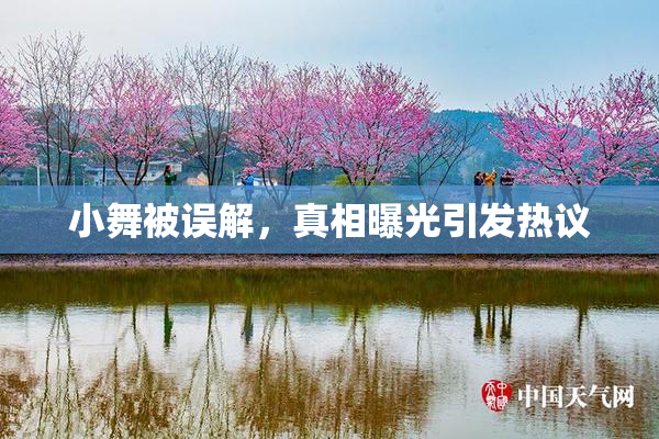小舞被误解，真相曝光引发热议