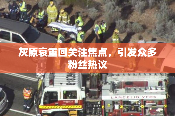 灰原哀重回关注焦点，引发众多粉丝热议
