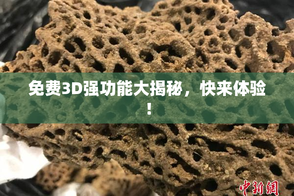 免费3D强功能大揭秘，快来体验！
