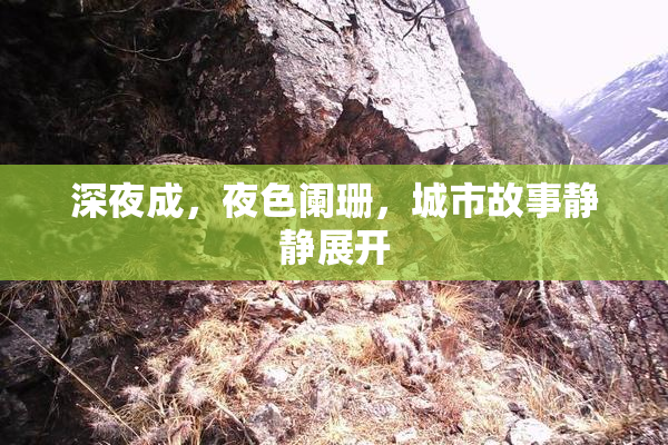 深夜成，夜色阑珊，城市故事静静展开