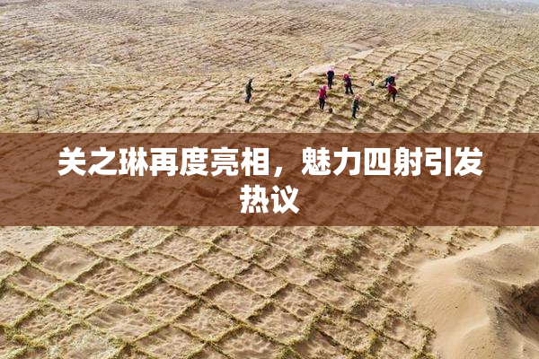 关之琳再度亮相，魅力四射引发热议
