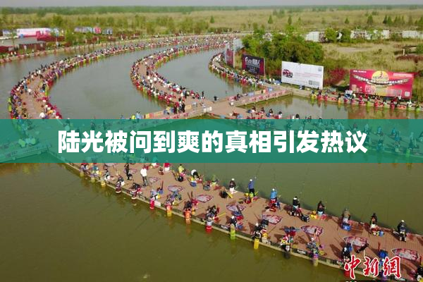 陆光被问到爽的真相引发热议