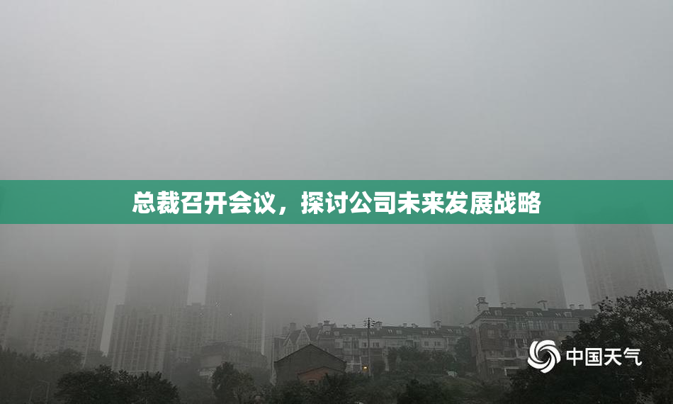 总裁召开会议，探讨公司未来发展战略