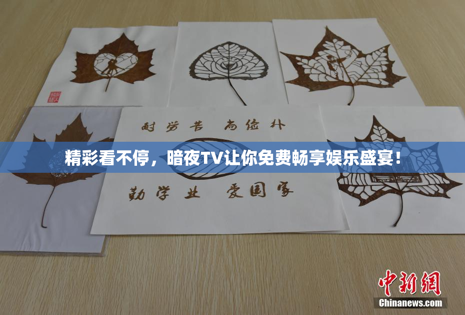 精彩看不停，暗夜TV让你免费畅享娱乐盛宴！