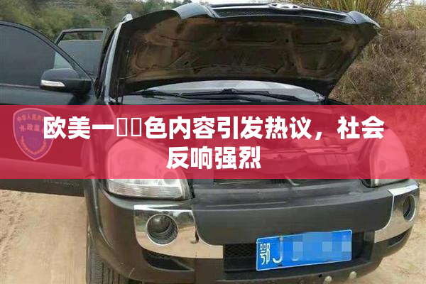 欧美一級黃色内容引发热议，社会反响强烈