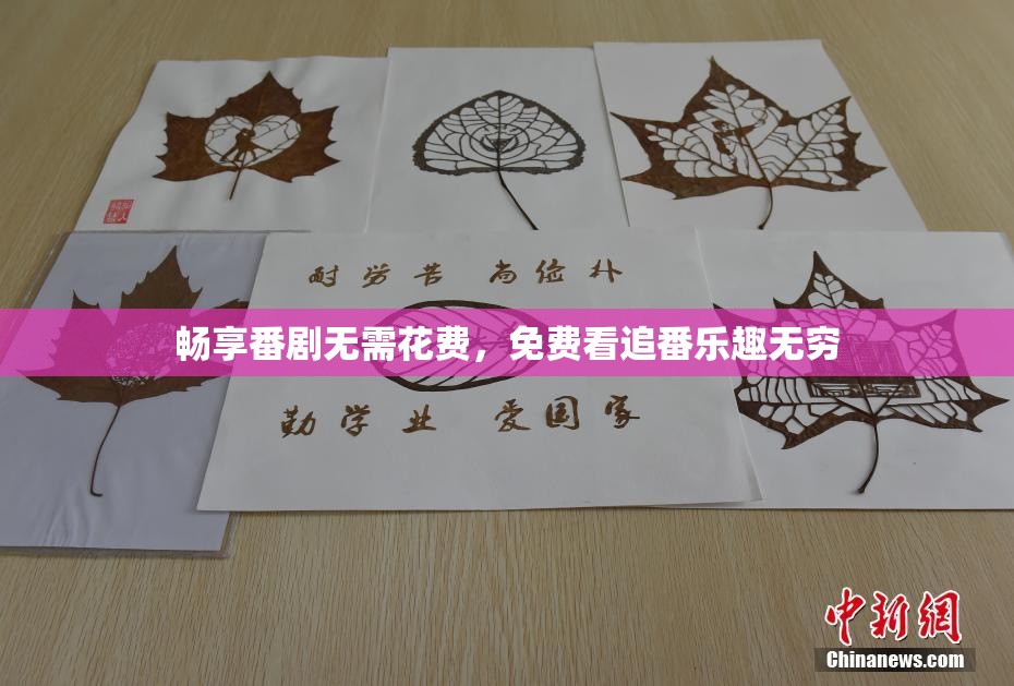 畅享番剧无需花费，免费看追番乐趣无穷