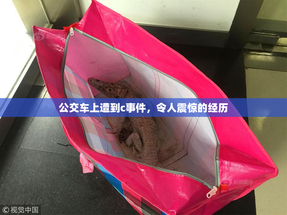 公交车上遭到c事件，令人震惊的经历