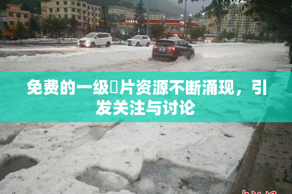 免费的一级婬片资源不断涌现，引发关注与讨论
