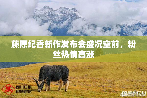 藤原纪香新作发布会盛况空前，粉丝热情高涨