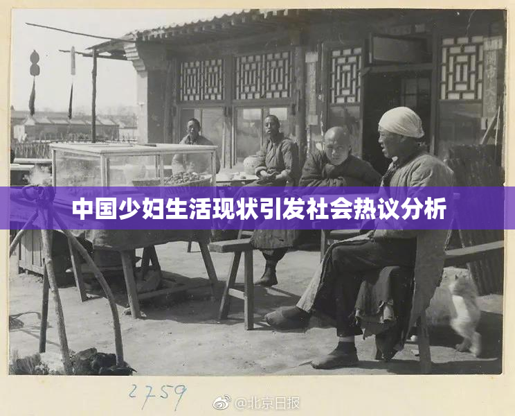 中国少妇生活现状引发社会热议分析