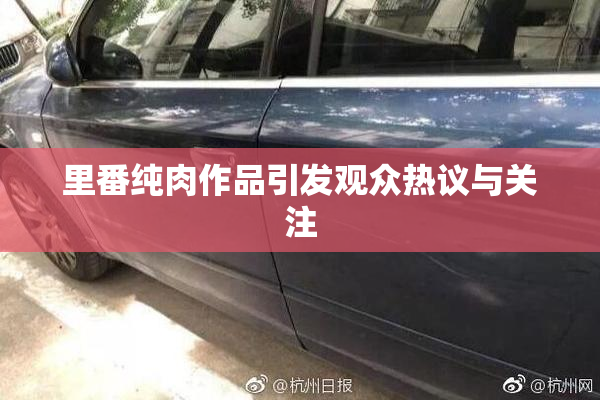 里番纯肉作品引发观众热议与关注