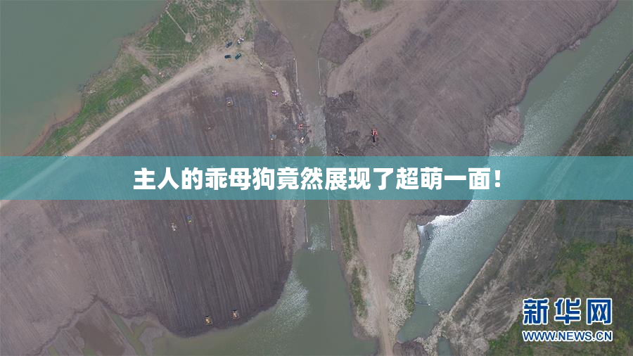 主人的乖母狗竟然展现了超萌一面！