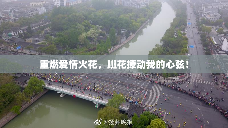 重燃爱情火花，班花撩动我的心弦！