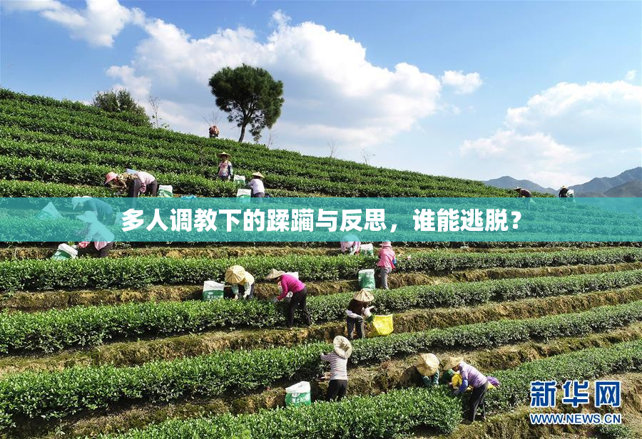 多人调教下的蹂躏与反思，谁能逃脱？