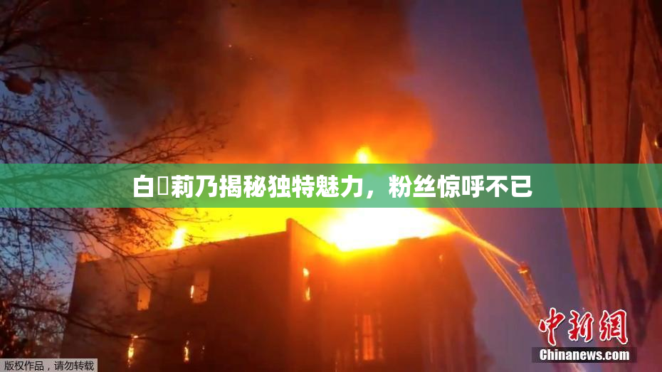 白咲莉乃揭秘独特魅力，粉丝惊呼不已
