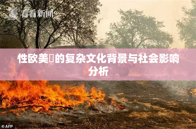 性欧美婬的复杂文化背景与社会影响分析