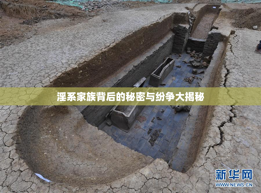 淫系家族背后的秘密与纷争大揭秘