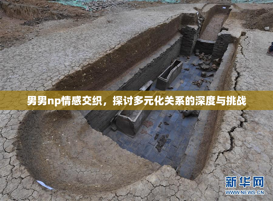 男男np情感交织，探讨多元化关系的深度与挑战