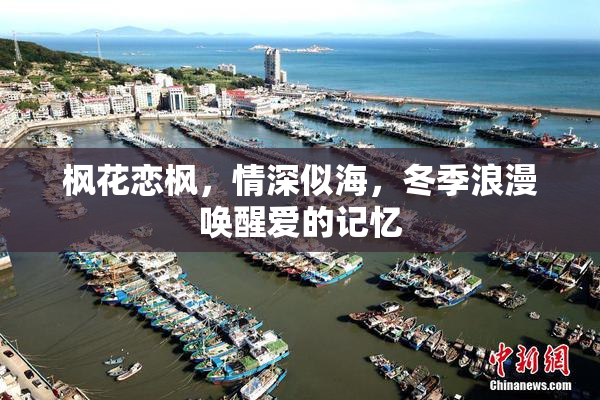 枫花恋枫，情深似海，冬季浪漫唤醒爱的记忆