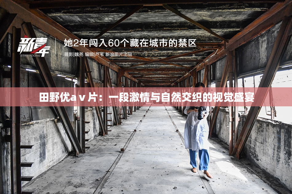 田野优aⅴ片：一段激情与自然交织的视觉盛宴