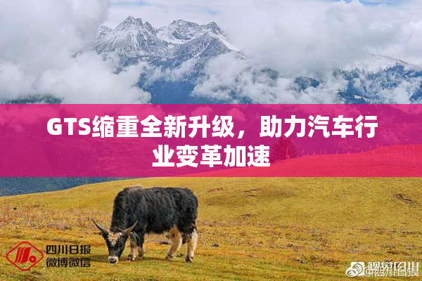 GTS缩重全新升级，助力汽车行业变革加速