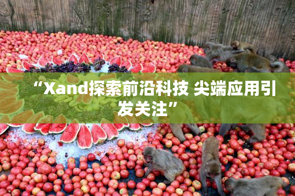 “Xand探索前沿科技 尖端应用引发关注”