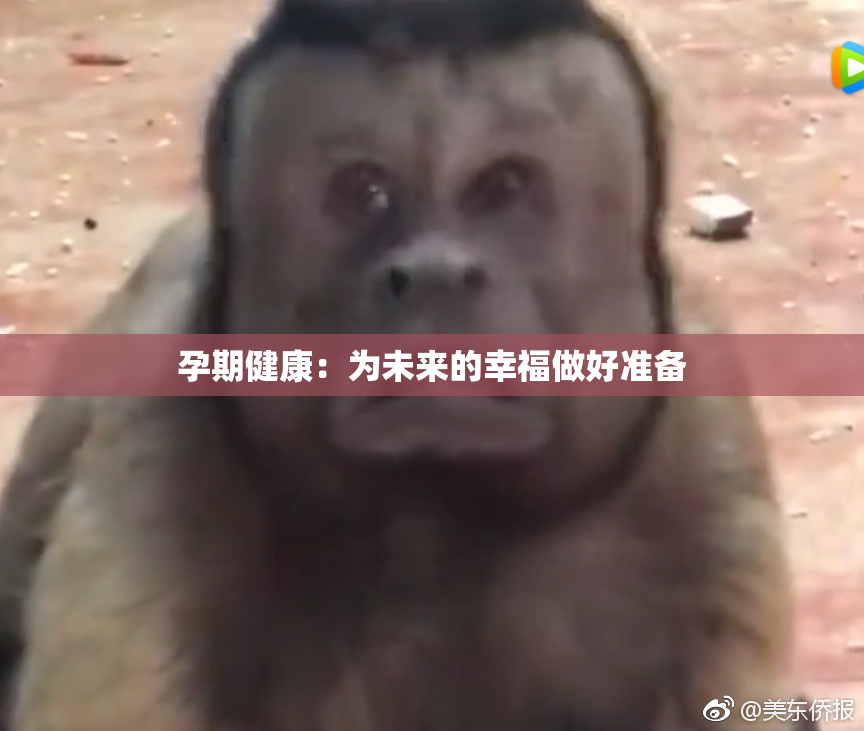 孕期健康：为未来的幸福做好准备