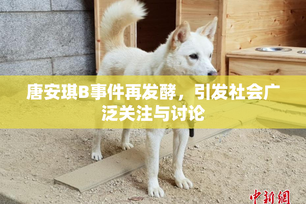 唐安琪B事件再发酵，引发社会广泛关注与讨论