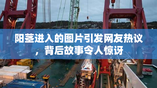 阳茎进入的图片引发网友热议，背后故事令人惊讶