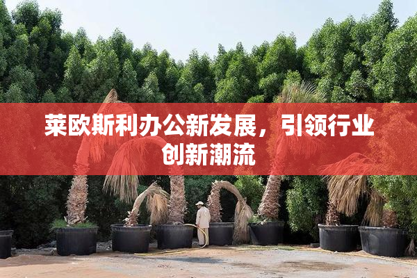 莱欧斯利办公新发展，引领行业创新潮流