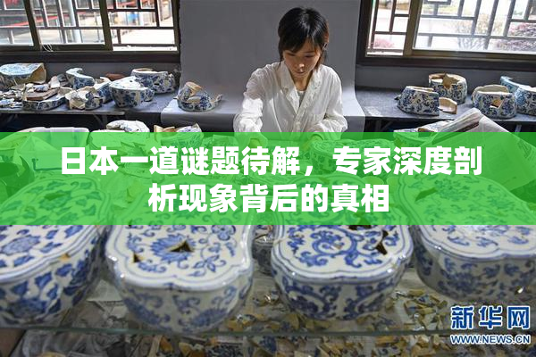 日本一道谜题待解，专家深度剖析现象背后的真相