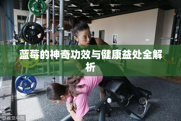 蓝莓的神奇功效与健康益处全解析