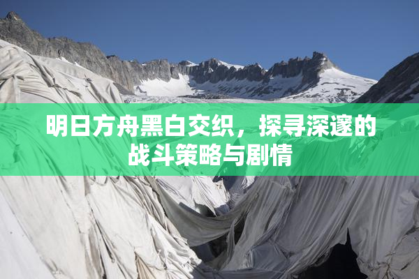 明日方舟黑白交织，探寻深邃的战斗策略与剧情