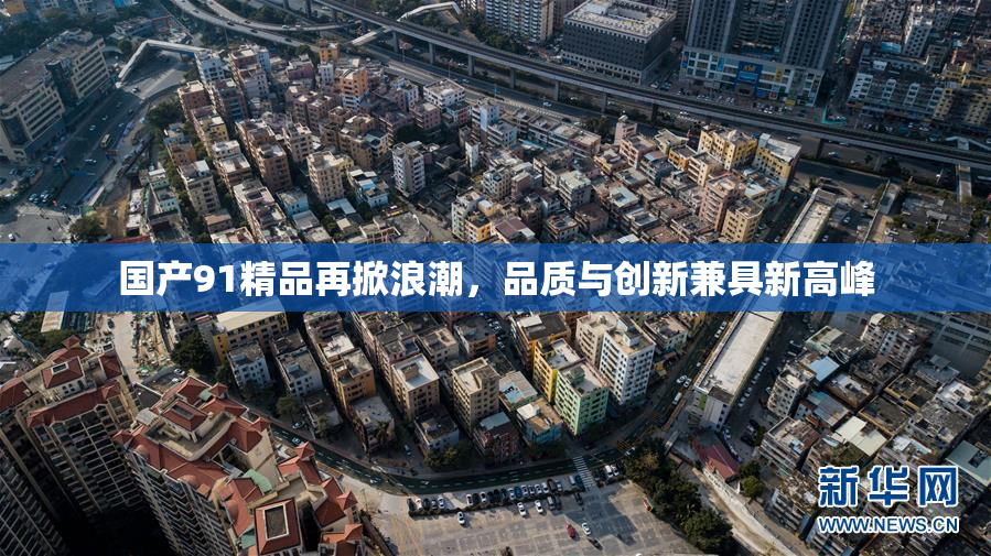 国产91精品再掀浪潮，品质与创新兼具新高峰