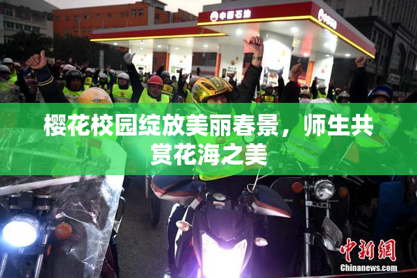 樱花校园绽放美丽春景，师生共赏花海之美