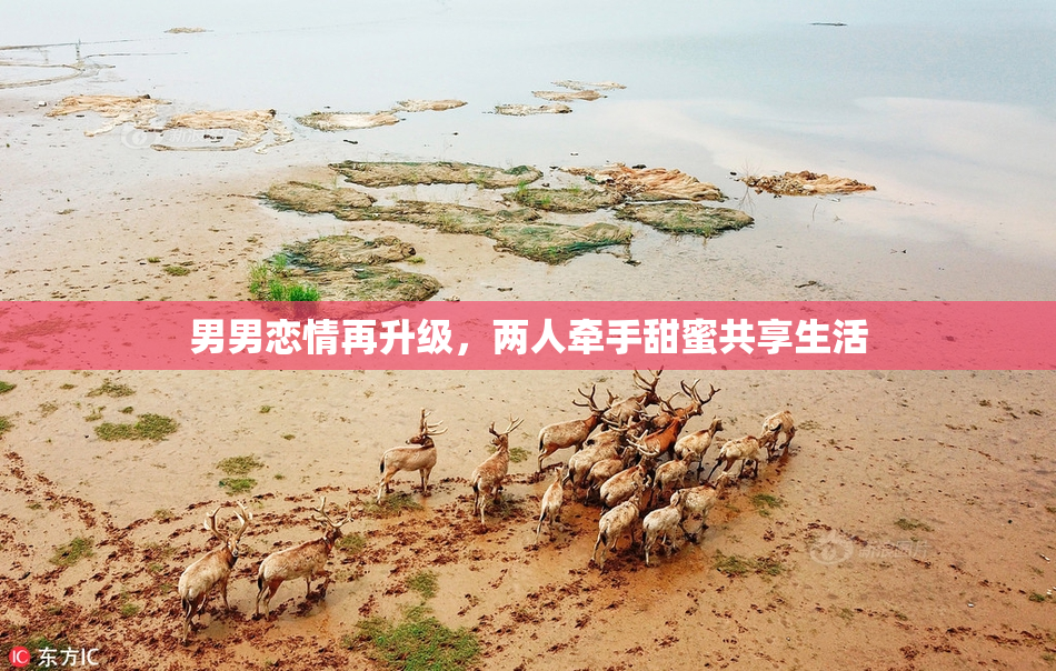 男男恋情再升级，两人牵手甜蜜共享生活