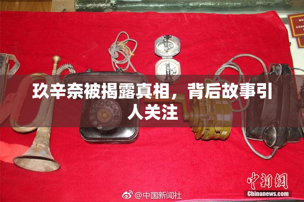 玖辛奈被揭露真相，背后故事引人关注